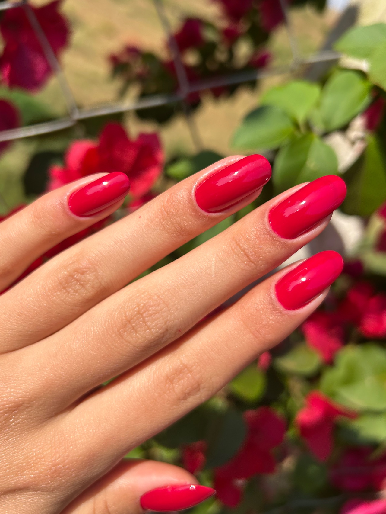 Nathalia Paes Nails